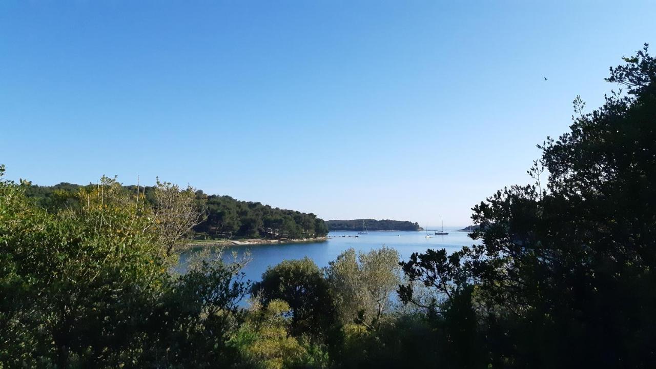Appartement Diana,free Parking *