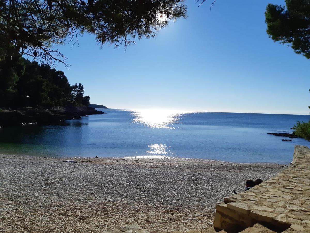 Appartement Diana,free Parking Pula