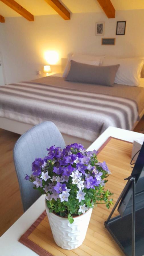 Appartement Diana,free Parking